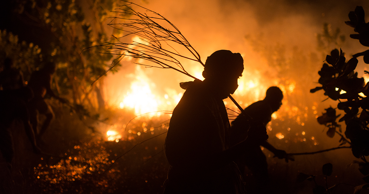 Members of the Refugee Fire Brigade use branches to beat out a large bushfire.  ©UNHCR/Colin Delfosse